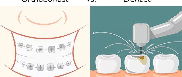 orthodontist vs dentist