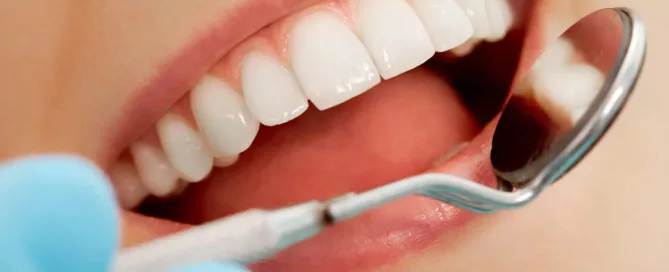 oral image 1536x1024.jpg